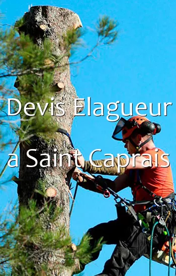 Devis Elagueur a Saint Caprais