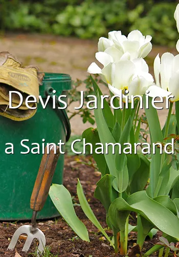 Devis Jardinier a Saint Chamarand