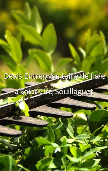 Devis Entreprise taille de haie a Saint Cirq Souillaguet