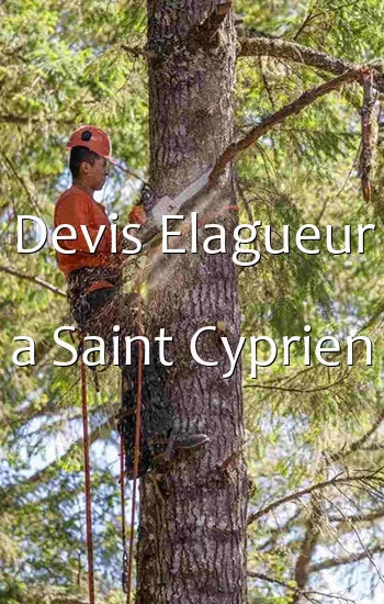 Devis Elagueur a Saint Cyprien