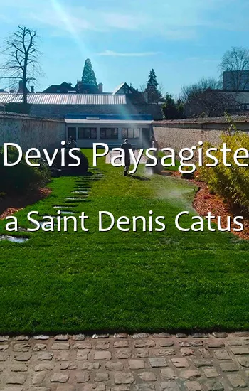 Devis Paysagiste a Saint Denis Catus