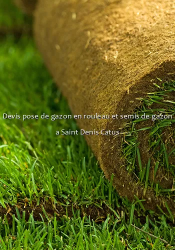 Devis pose de gazon en rouleau et semis de gazon a Saint Denis Catus