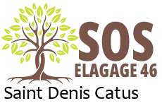 elagueur-sos-elagage