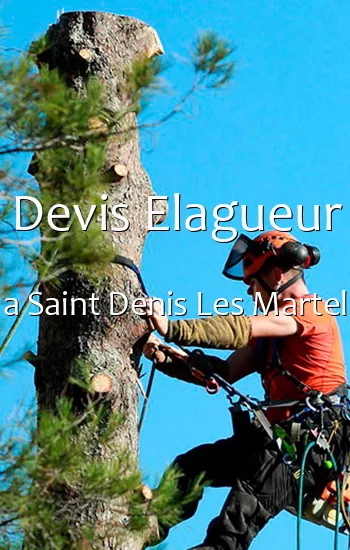 Devis Elagueur a Saint Denis Les Martel