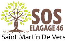 elagueur-sos-elagage