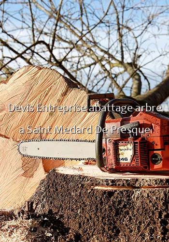 Devis Entreprise abattage arbre a Saint Medard De Presque