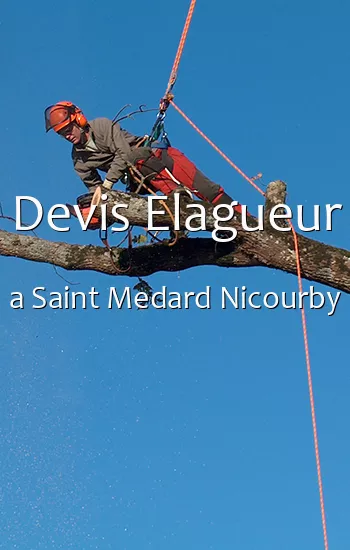 Devis Elagueur a Saint Medard Nicourby