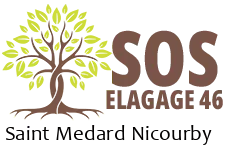 elagueur-sos-elagage