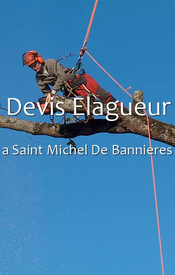 Devis Elagueur a Saint Michel De Bannieres