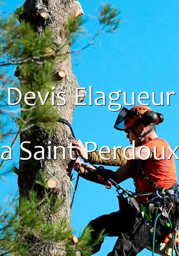 Devis Elagueur a Saint Perdoux