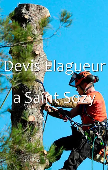 Devis Elagueur a Saint Sozy