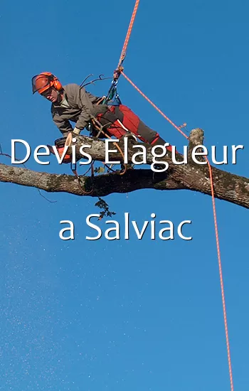 Devis Elagueur a Salviac