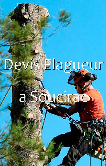 Devis Elagueur a Soucirac