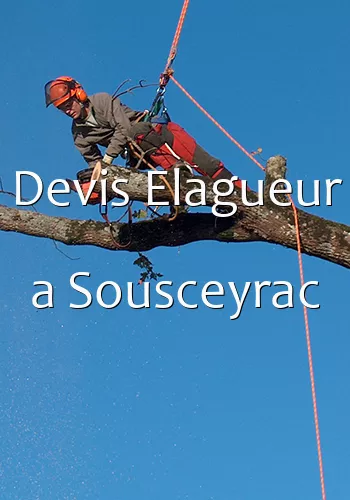 Devis Elagueur a Sousceyrac