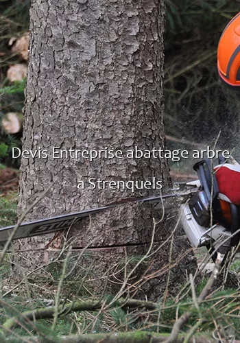 Devis Entreprise abattage arbre a Strenquels