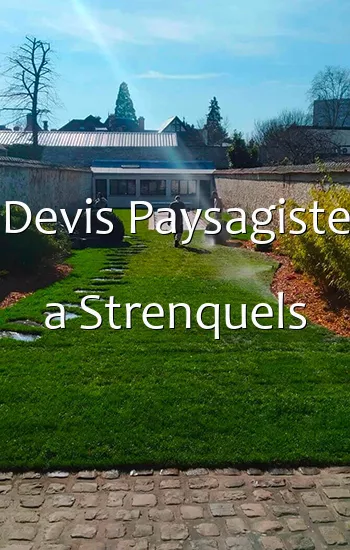 Devis Paysagiste a Strenquels