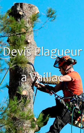 Devis Elagueur a Vaillac