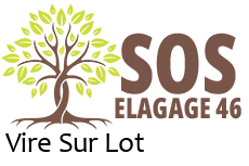 elagueur-sos-elagage