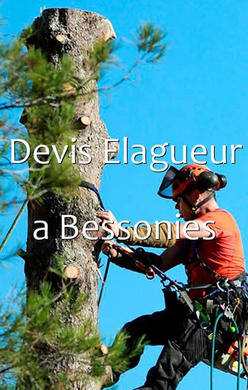 Devis Elagueur a Bessonies